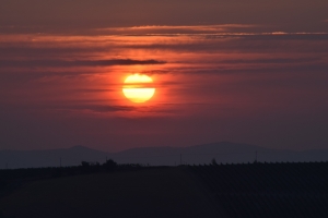 AGRITURISMO LA FRATERNITA